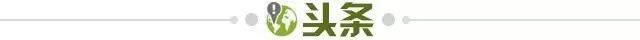 世界杯对阵名单-【早报】什么？主教练在热身？他扑出俩点球！夺冠了！