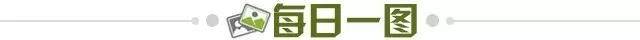 75f4c27f-3ebe-40c8-a131-63bef9a5c9bb.jpg@!img01